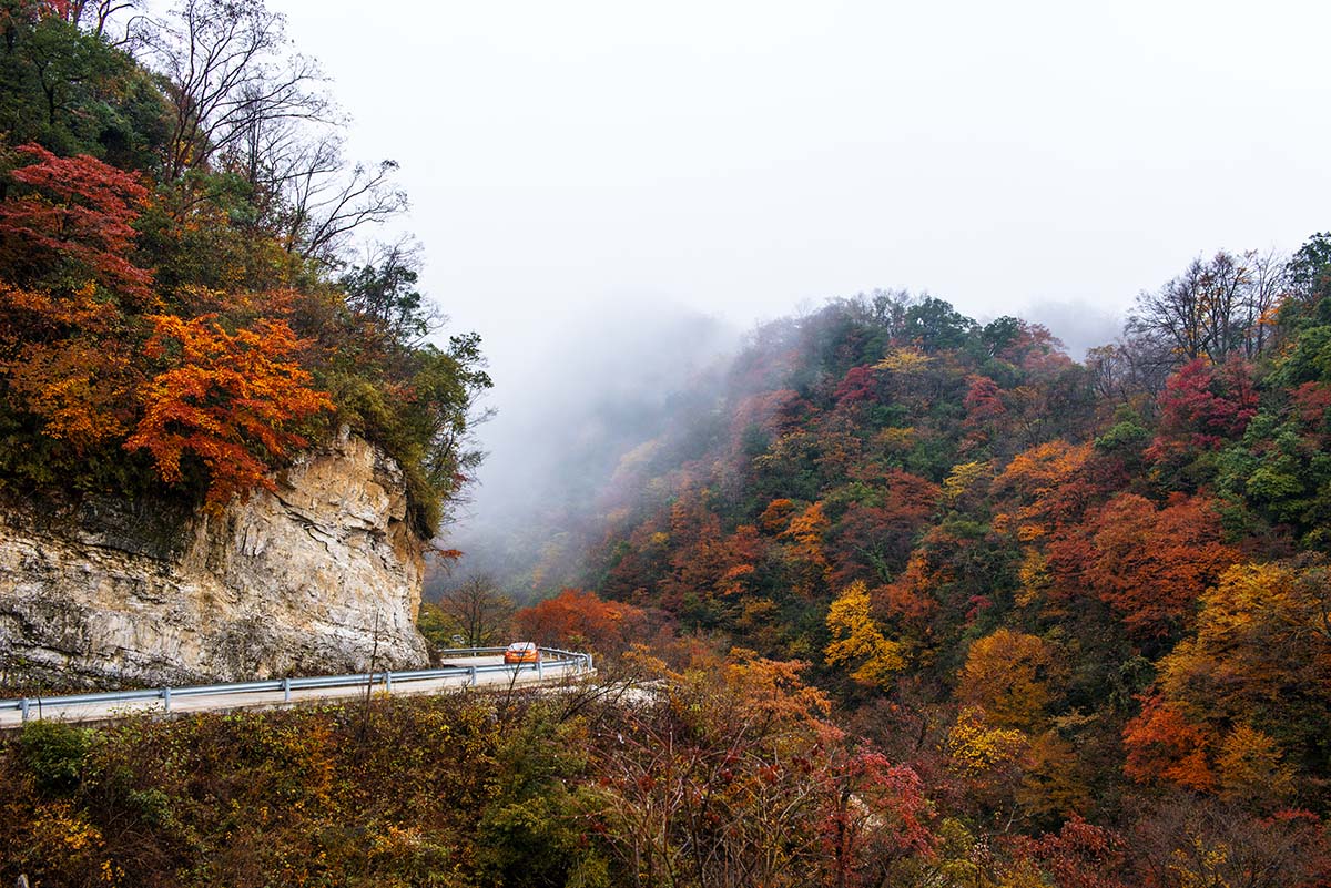 �߲ʹ���ɽ (3).jpg