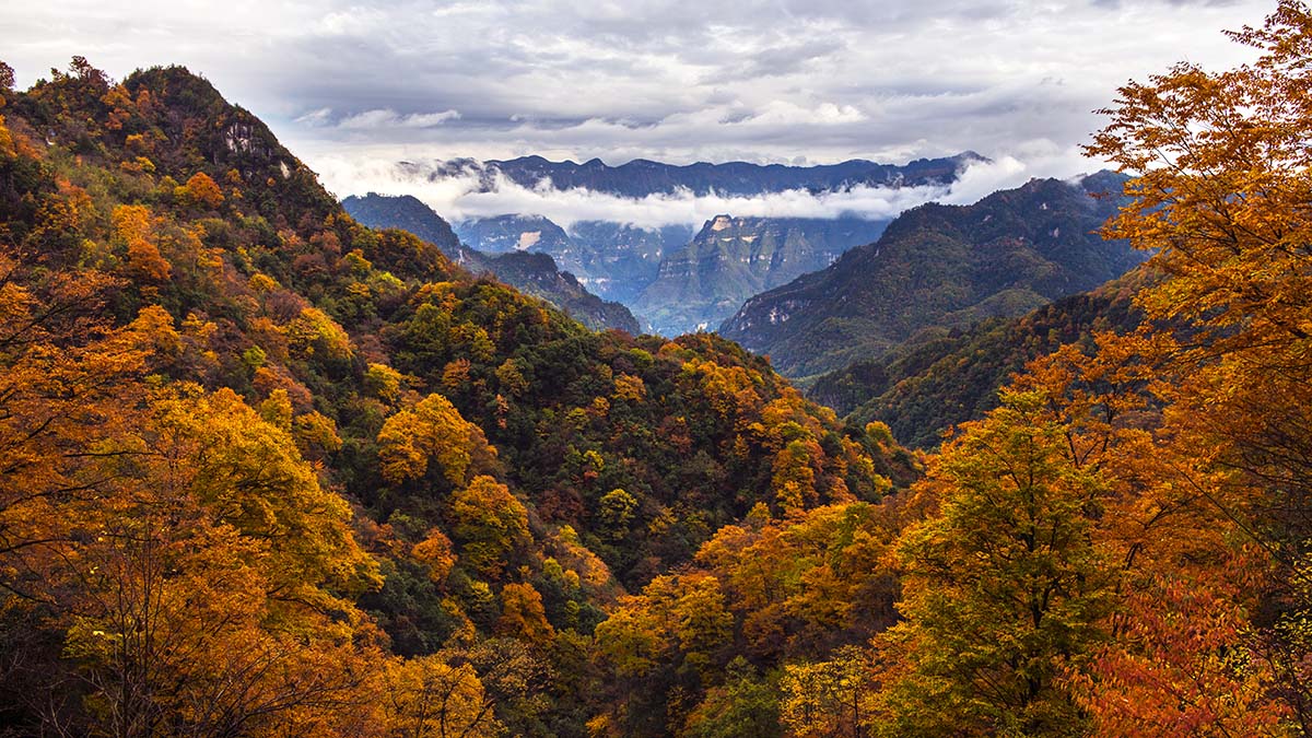 �߲ʹ���ɽ (6).jpg