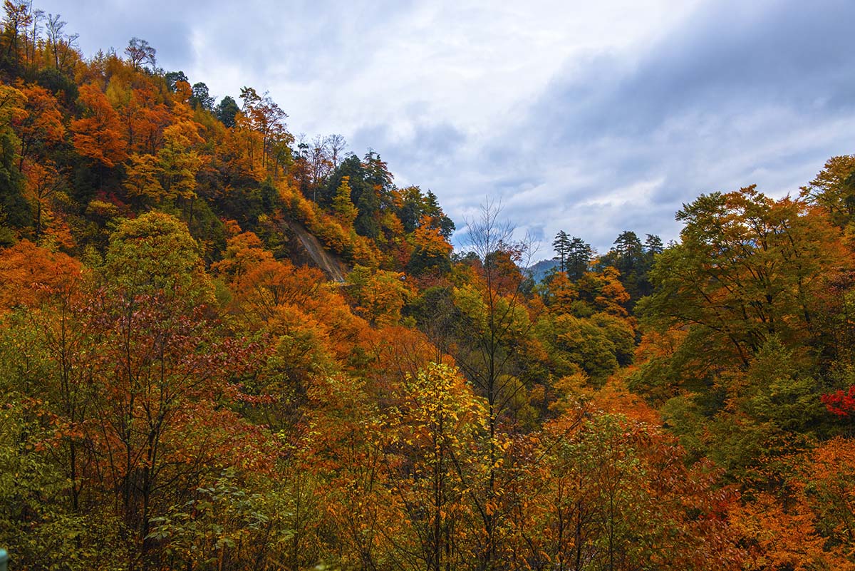 �߲ʹ���ɽ (5).jpg