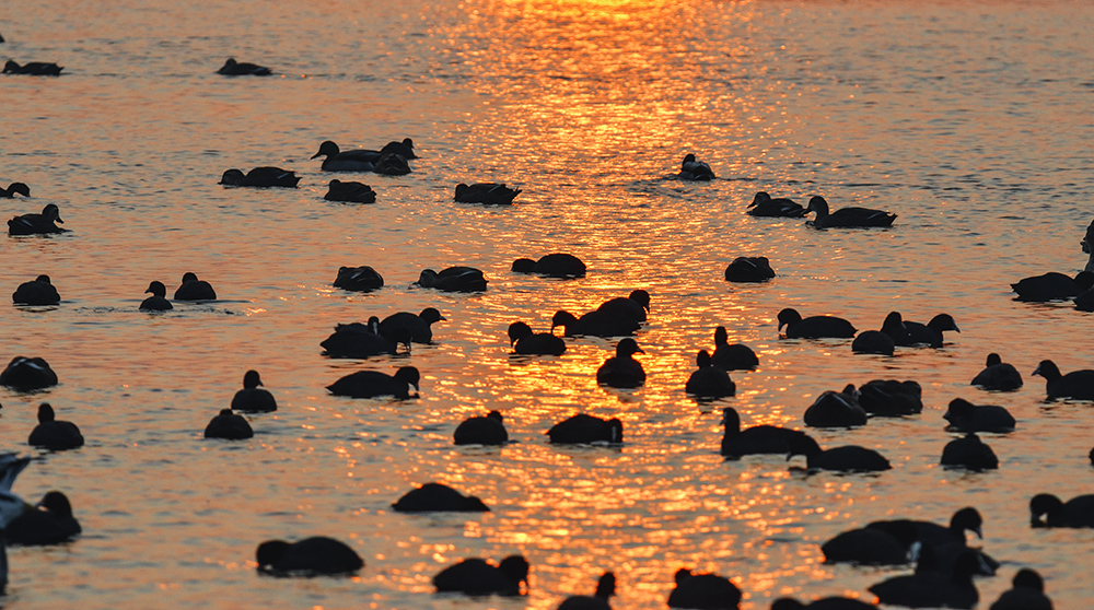 2015��1��12��ɽ��7000 a2421.jpg