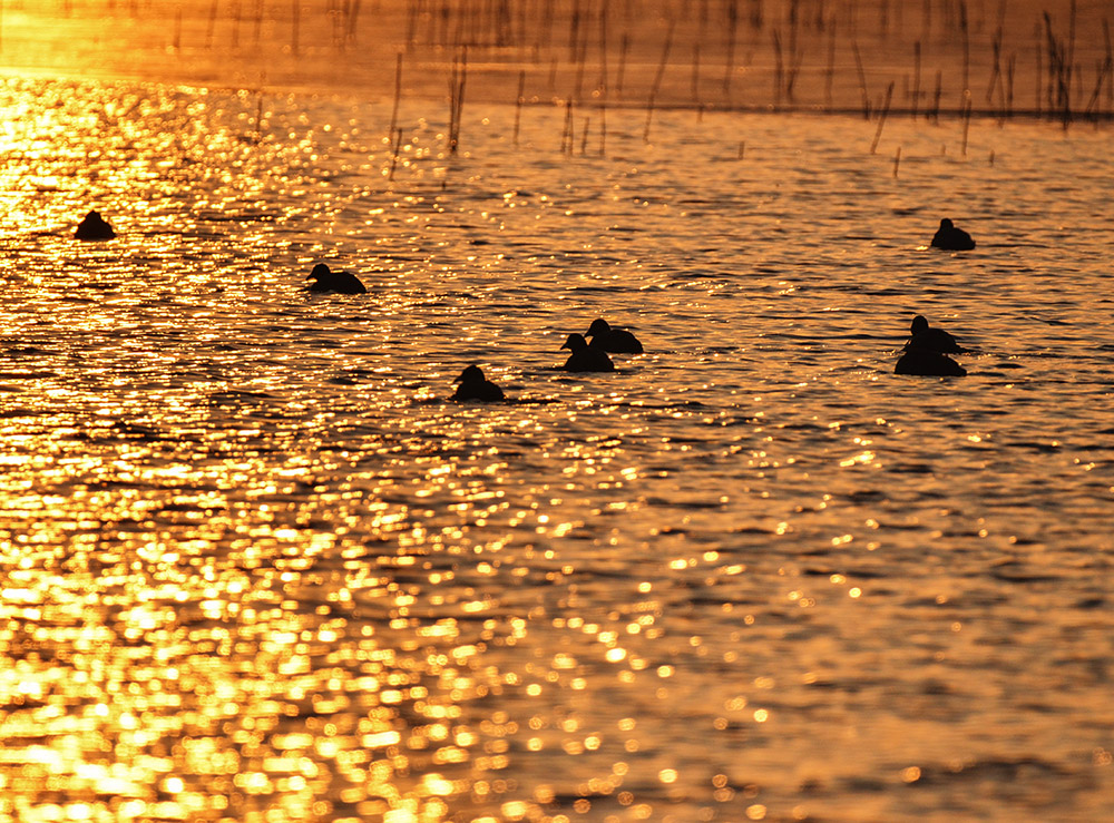 2015��1��12��ɽ��7000 a2231.jpg