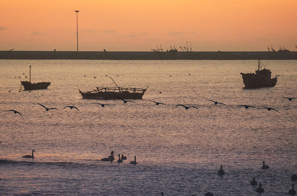 2015��1��12��ɽ��7000 a3041.jpg