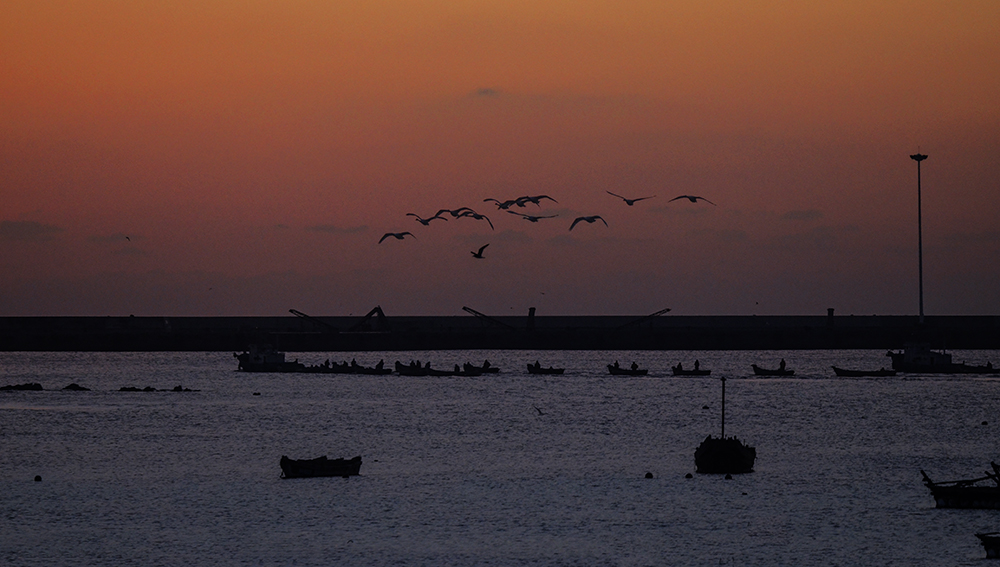 2015��1��12��ɽ��7000 a3321.jpg