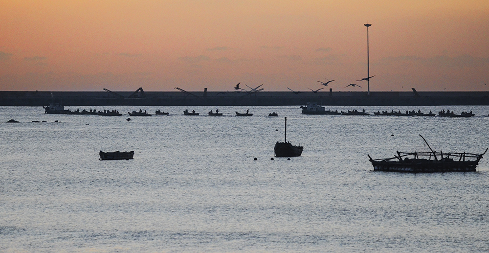 2015��1��12��ɽ��7000 a3341.jpg