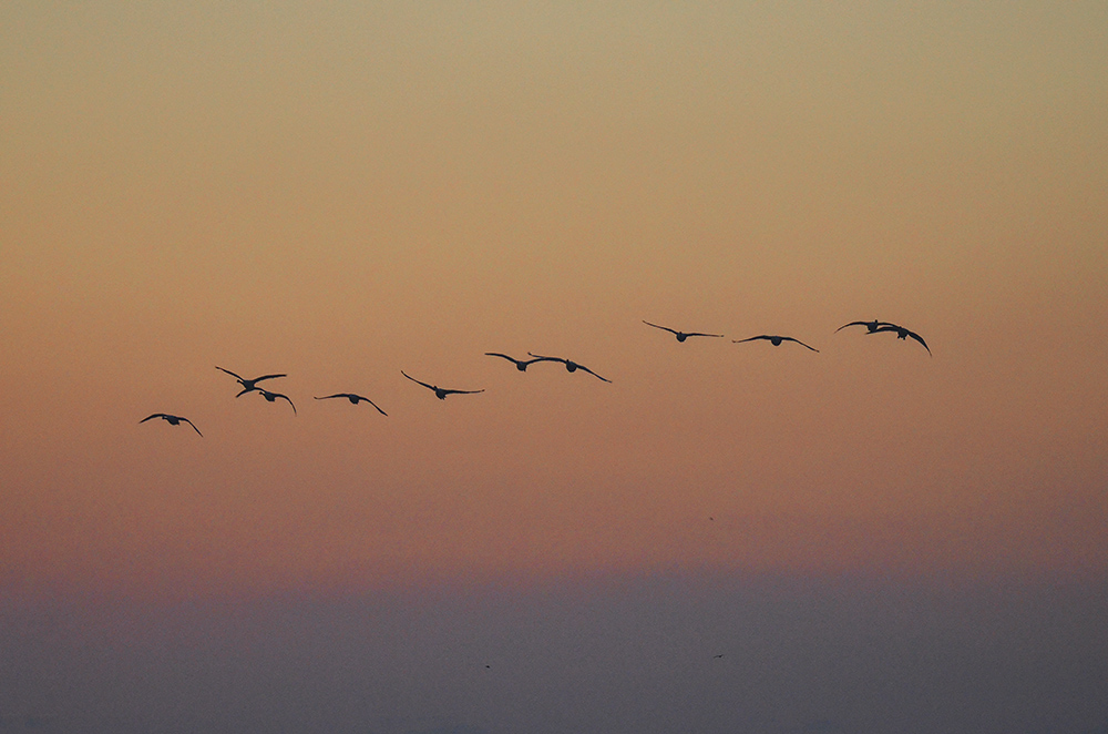 2015��1��12��ɽ��7000 a3441.jpg