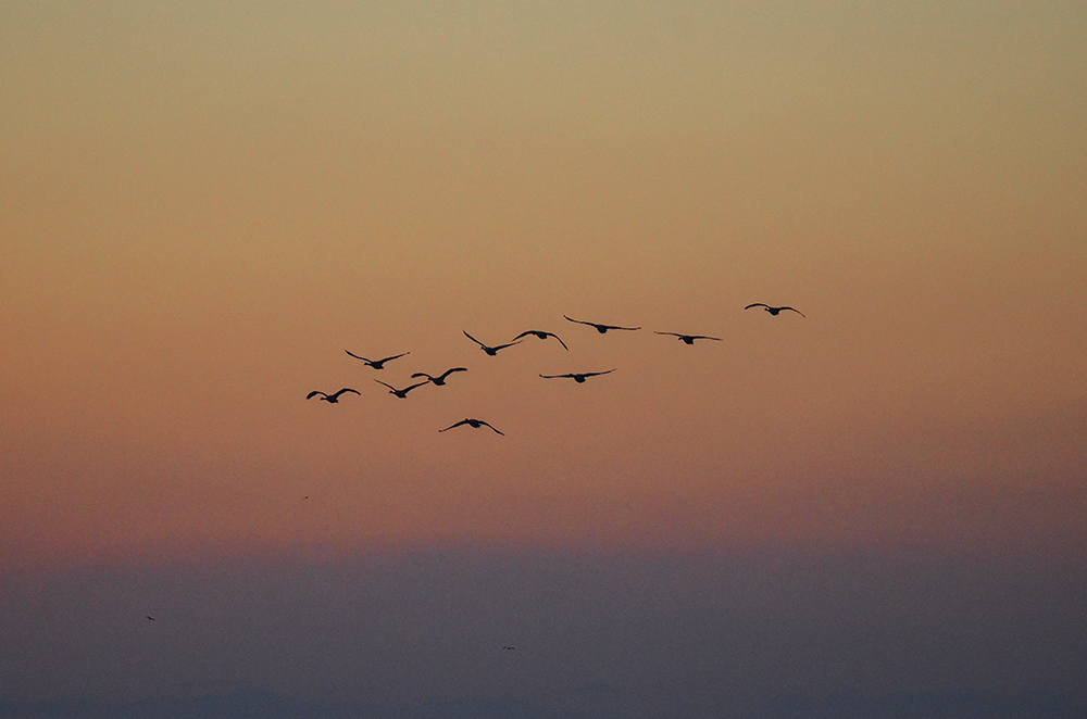 2015��1��12��ɽ��7000 a3421.jpg