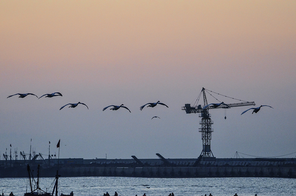 2015��1��12��ɽ��7000 a3541.jpg