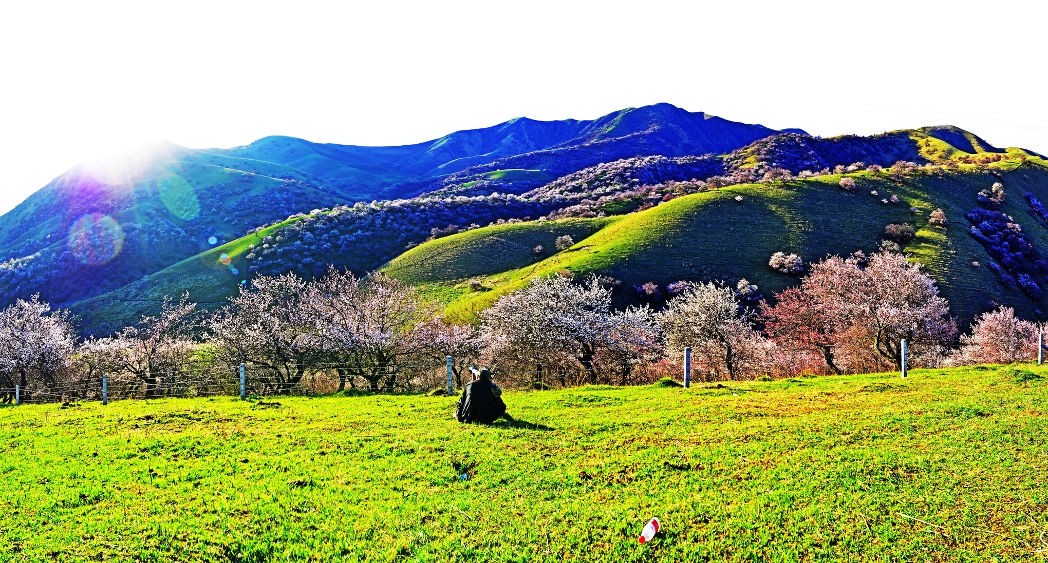 nEO_IMG_δ����_ȫ��ͼ1h (2).jpg