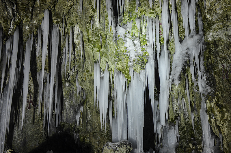 2015��1��2�ձ��� a0431.jpg