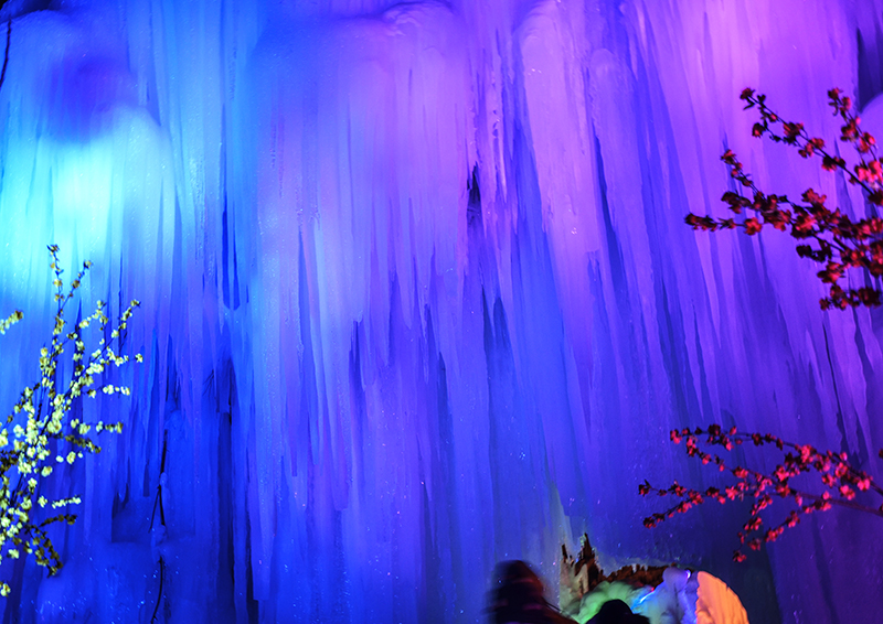 2015��1��2�ձ��� a0441.jpg