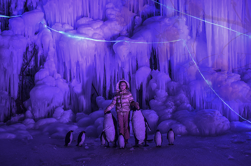 2015��1��2�ձ���a 0661.jpg