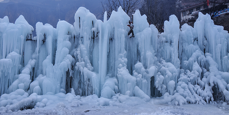 2015��1��2�ձ��� a0261.jpg