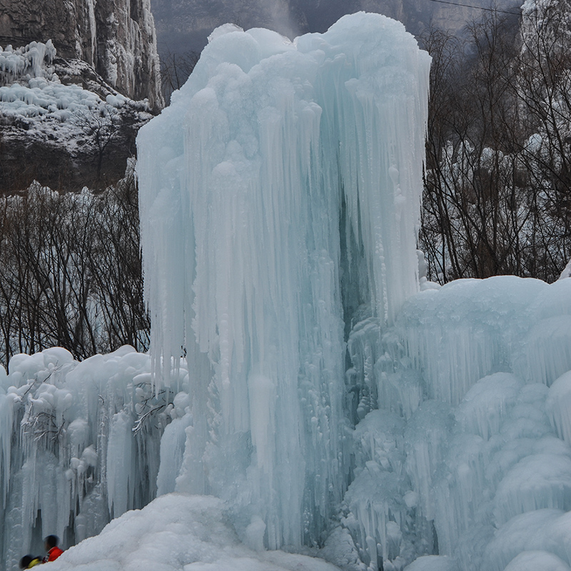 2015��1��2�ձ��� a0281.jpg