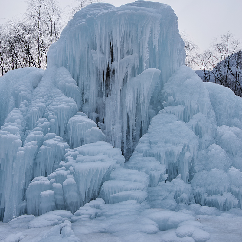 2015��1��2�ձ��� a0271.jpg