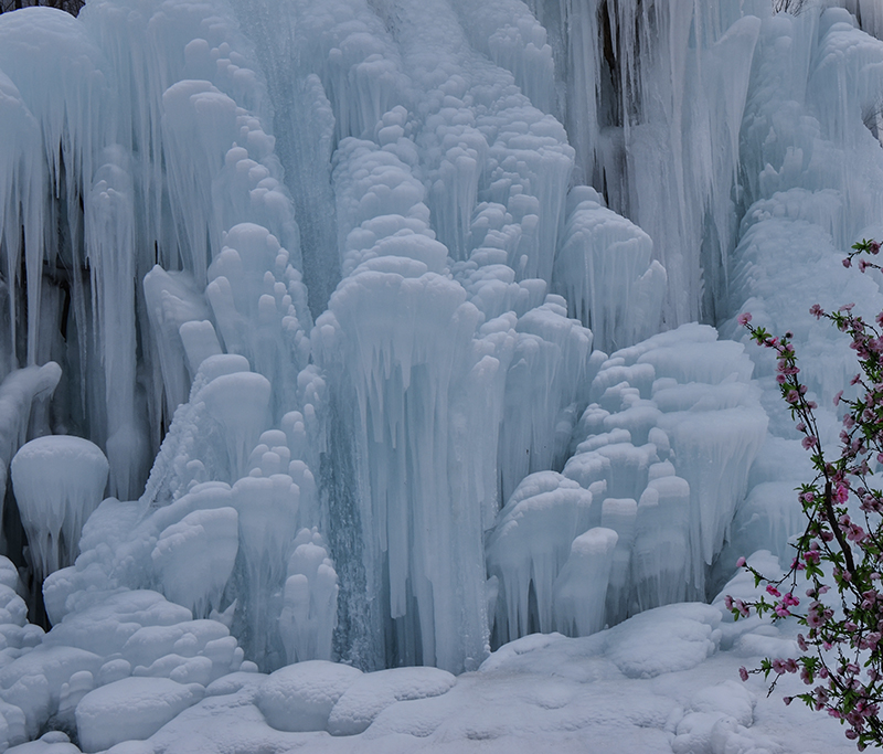 2015��1��2�ձ��� a0331.jpg