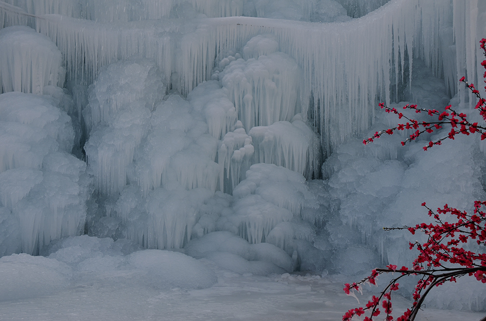 2015��1��2�ձ��� a1871.jpg