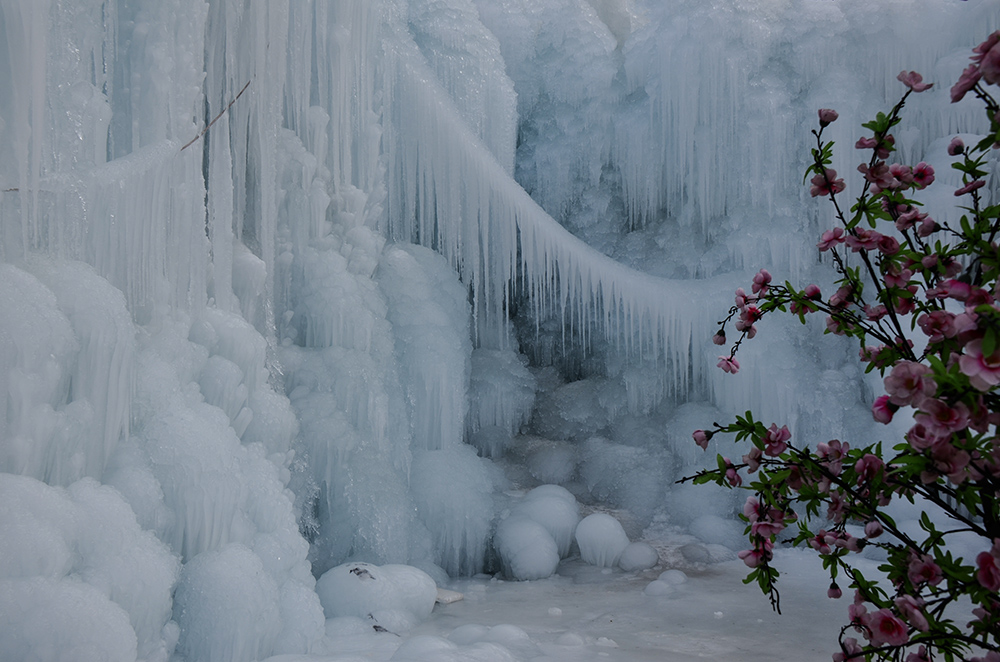 2015��1��2�ձ��� a1941.jpg