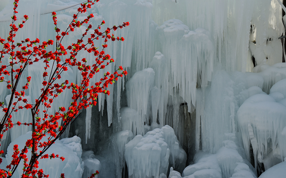 2015��1��2�ձ��� a1971.jpg