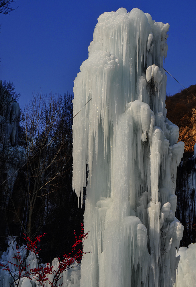 2015��1��2�ձ��� a2001.jpg