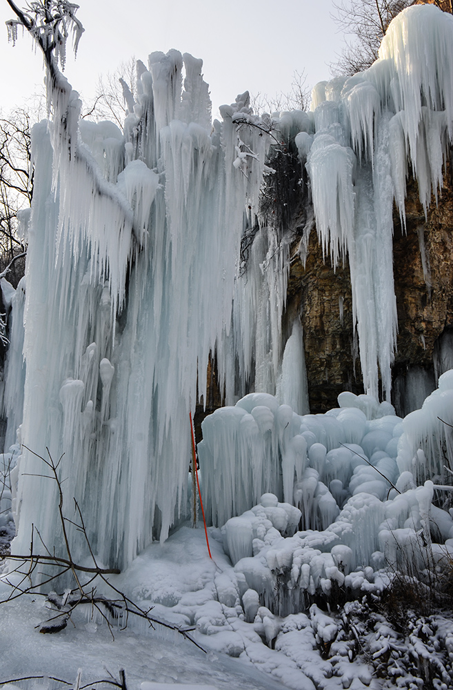 2015��1��2�ձ��� a2101.jpg