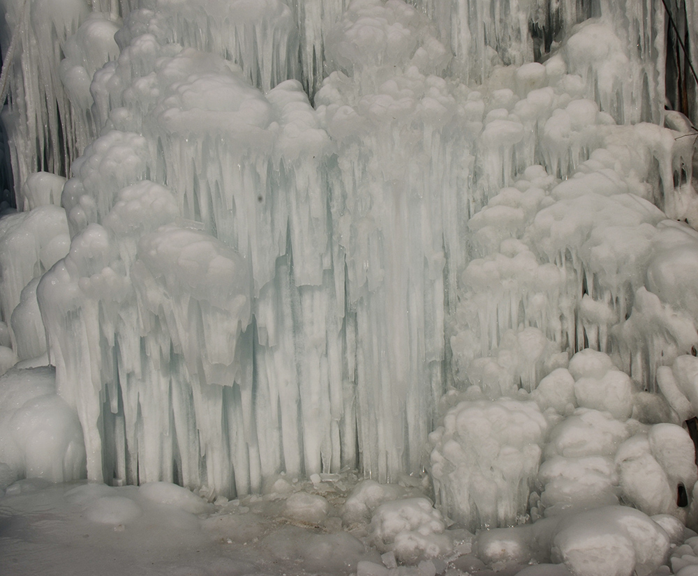 2015��1��2�ձ��� a2491.jpg