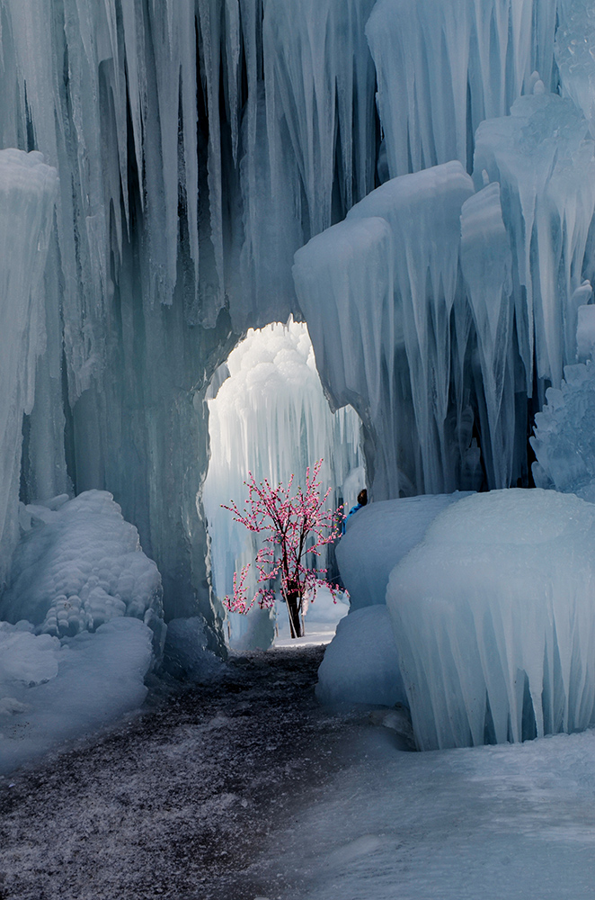 2015��1��2�ձ��� a2851.jpg