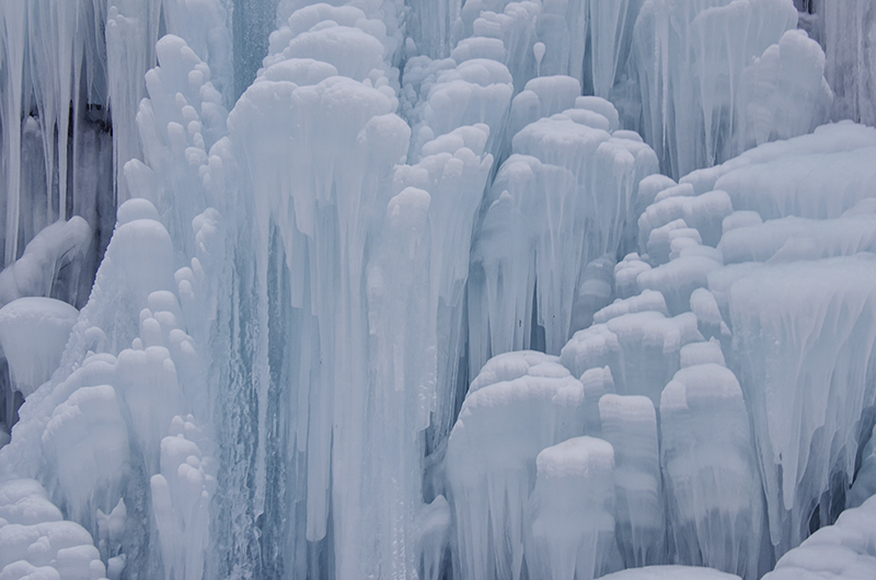 2015��1��2�ձ���a 0321.jpg