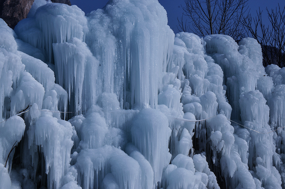 2015��1��2�ձ��� a2871.jpg