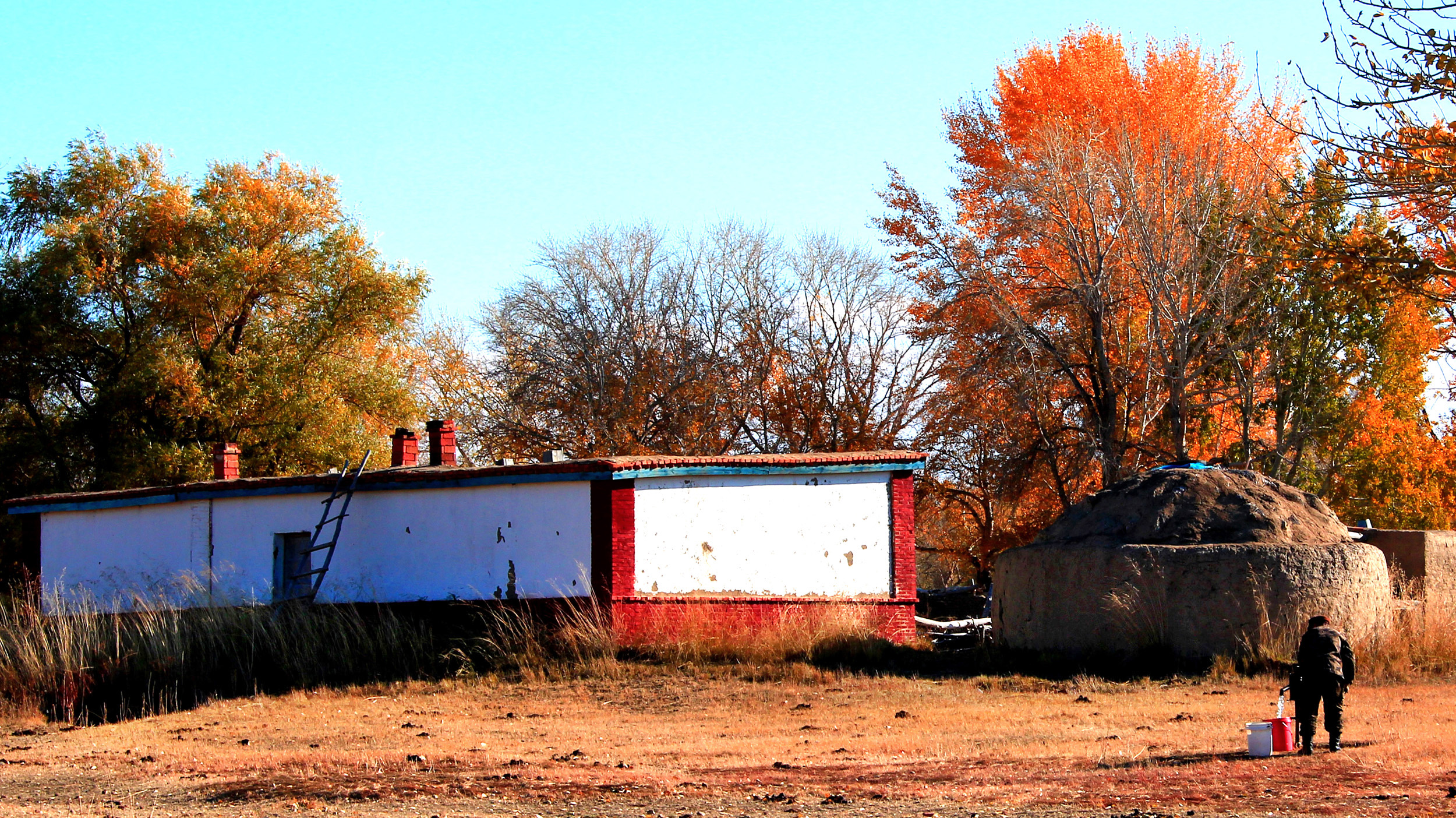 ������� (1).jpg