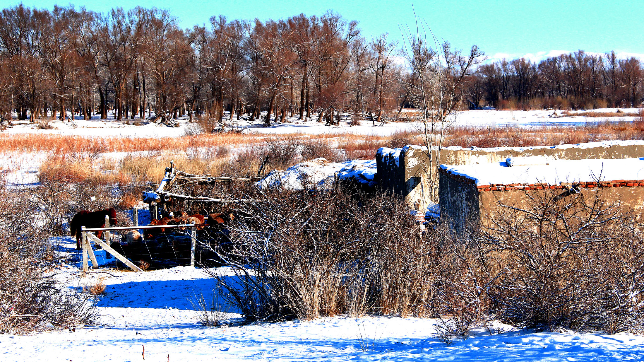 ������� (2).jpg