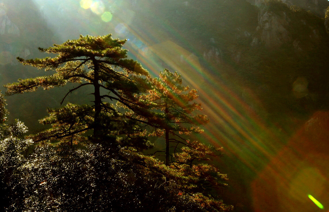 ����ɽ 209.jpg