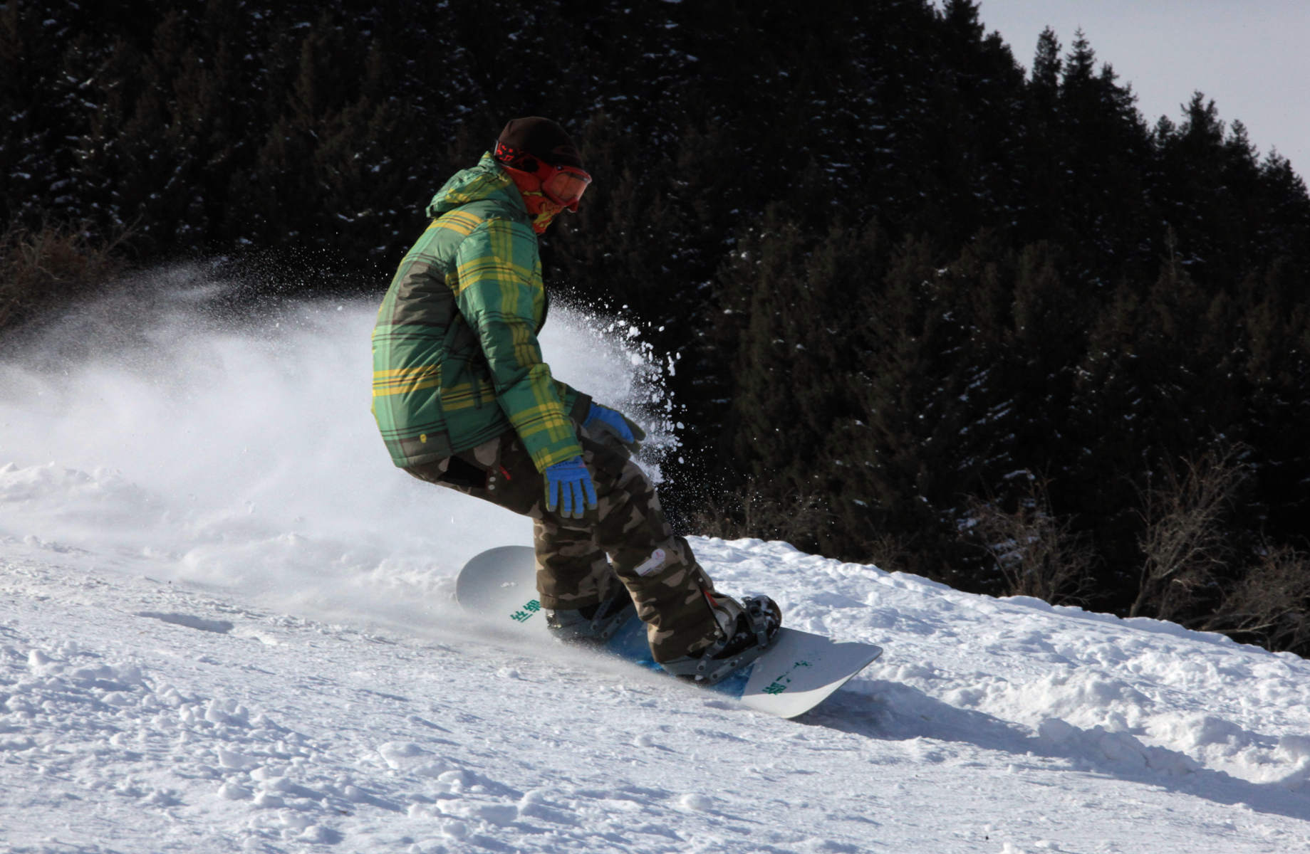 ��ѩ�� 291_����_����.jpg