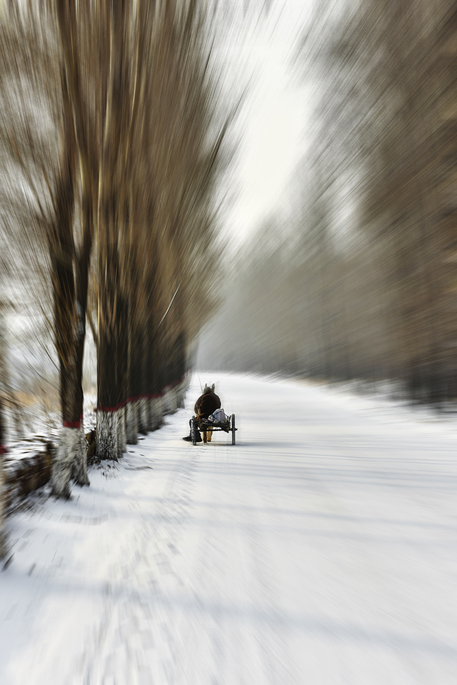 2015��1��25�մ��ɽѩa 0051.jpg