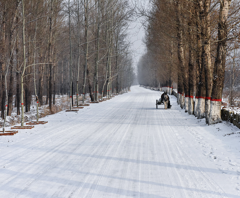 2015��1��25�մ��ɽѩ a0011.jpg