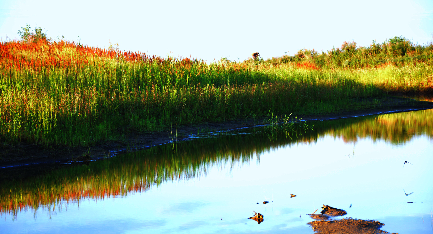 �������С��