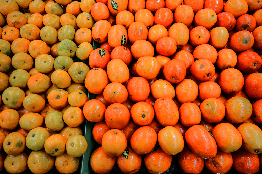 2014��11��15�ջ����Կ��� a0431.jpg