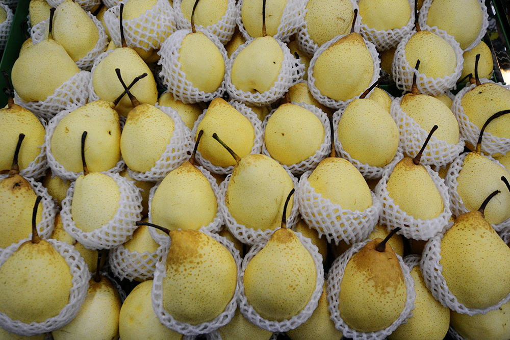 2014��11��15�ջ����Կ��� a0461.jpg