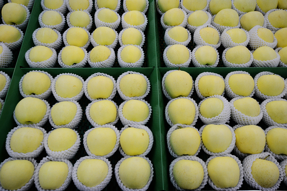 2014��11��15�ջ����Կ��� a0451.jpg