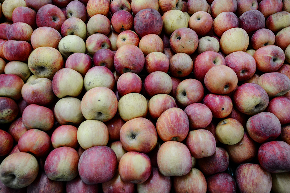 2014��11��15�ջ����Կ���a 0441.jpg