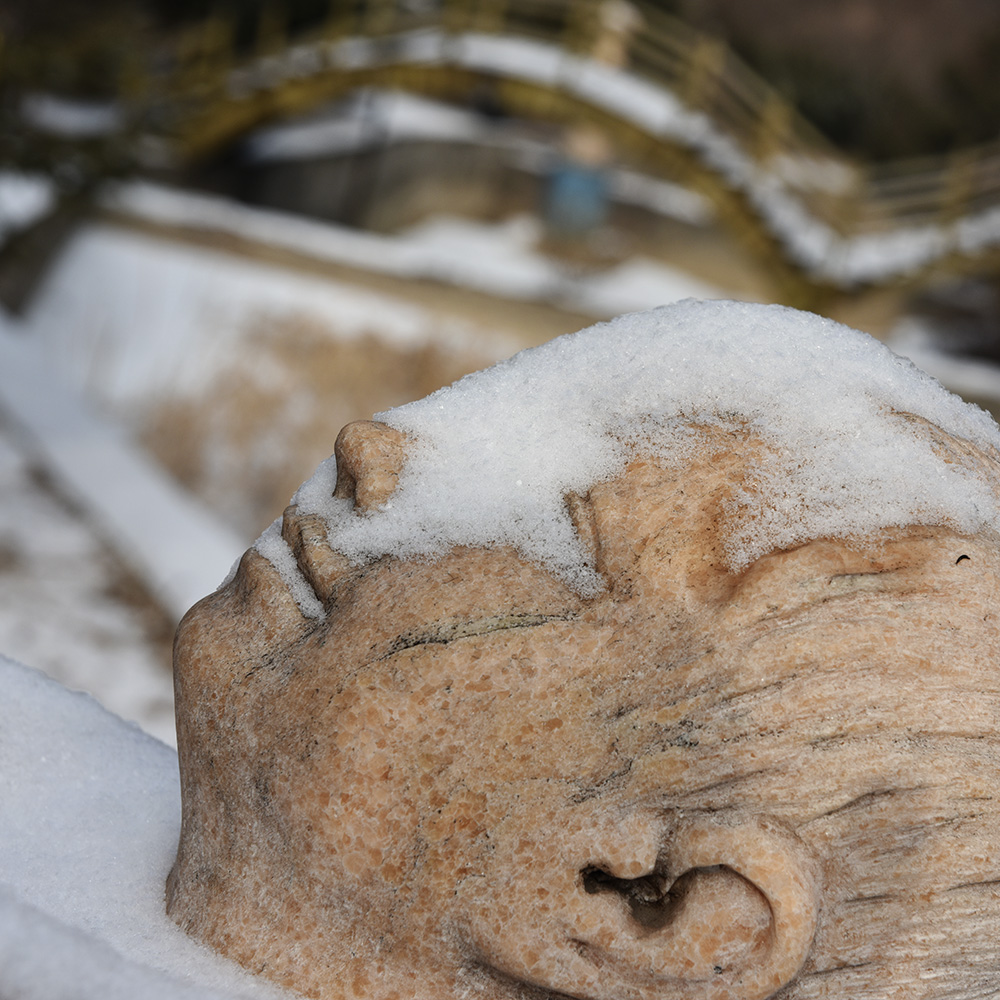 2015��1��25�մ��ɽѩ a0501.jpg