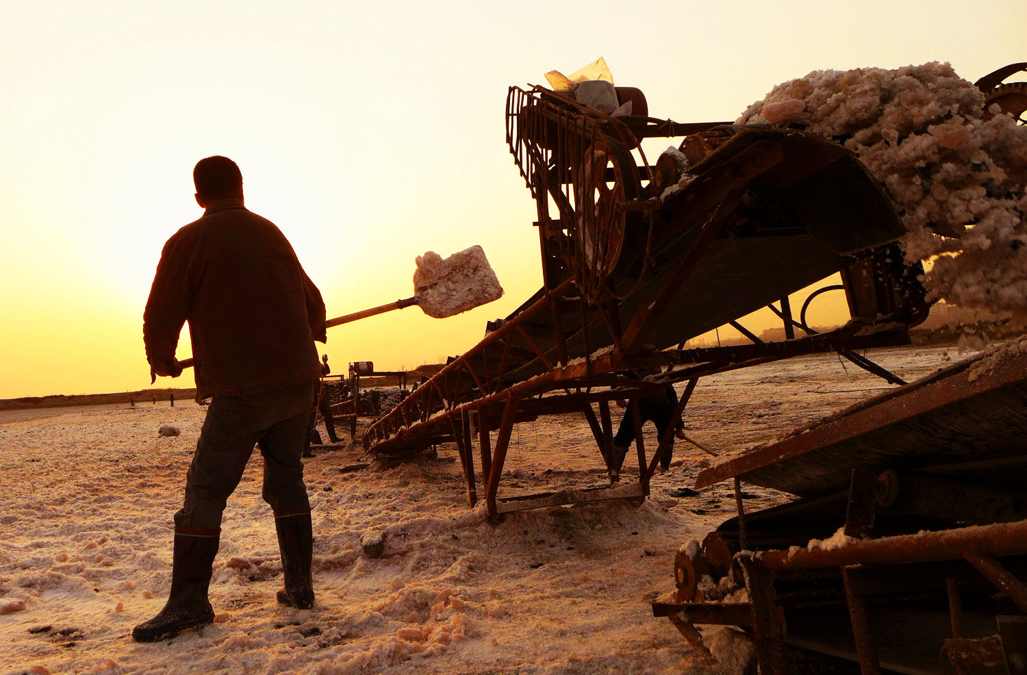 Ϧ��������