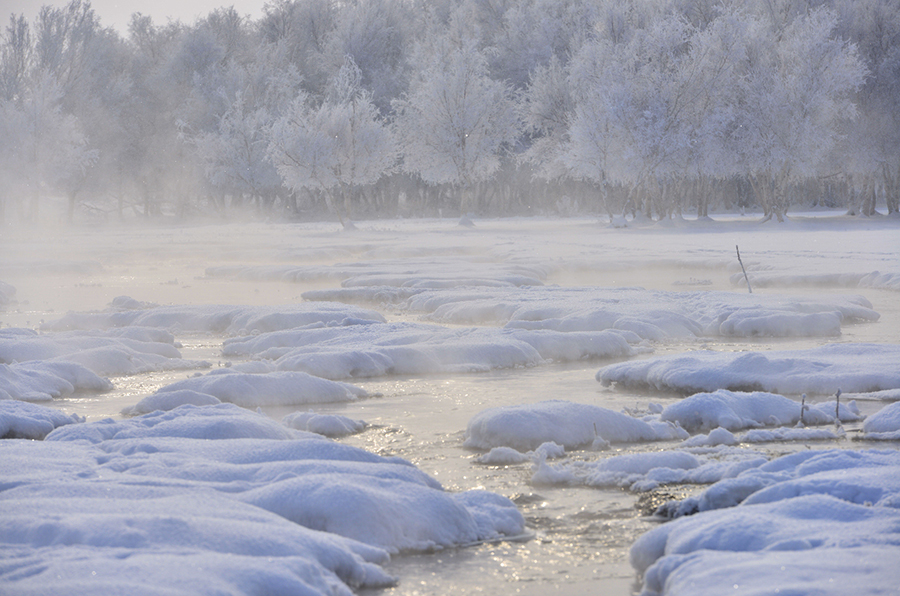 ����������ʪ��