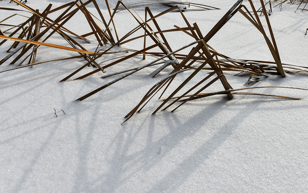 2015��1��25�մ��ɽѩa 0521.jpg