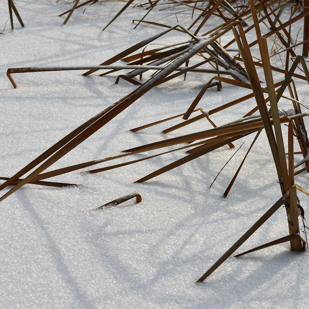 2015��1��25�մ��ɽѩ a0531.jpg