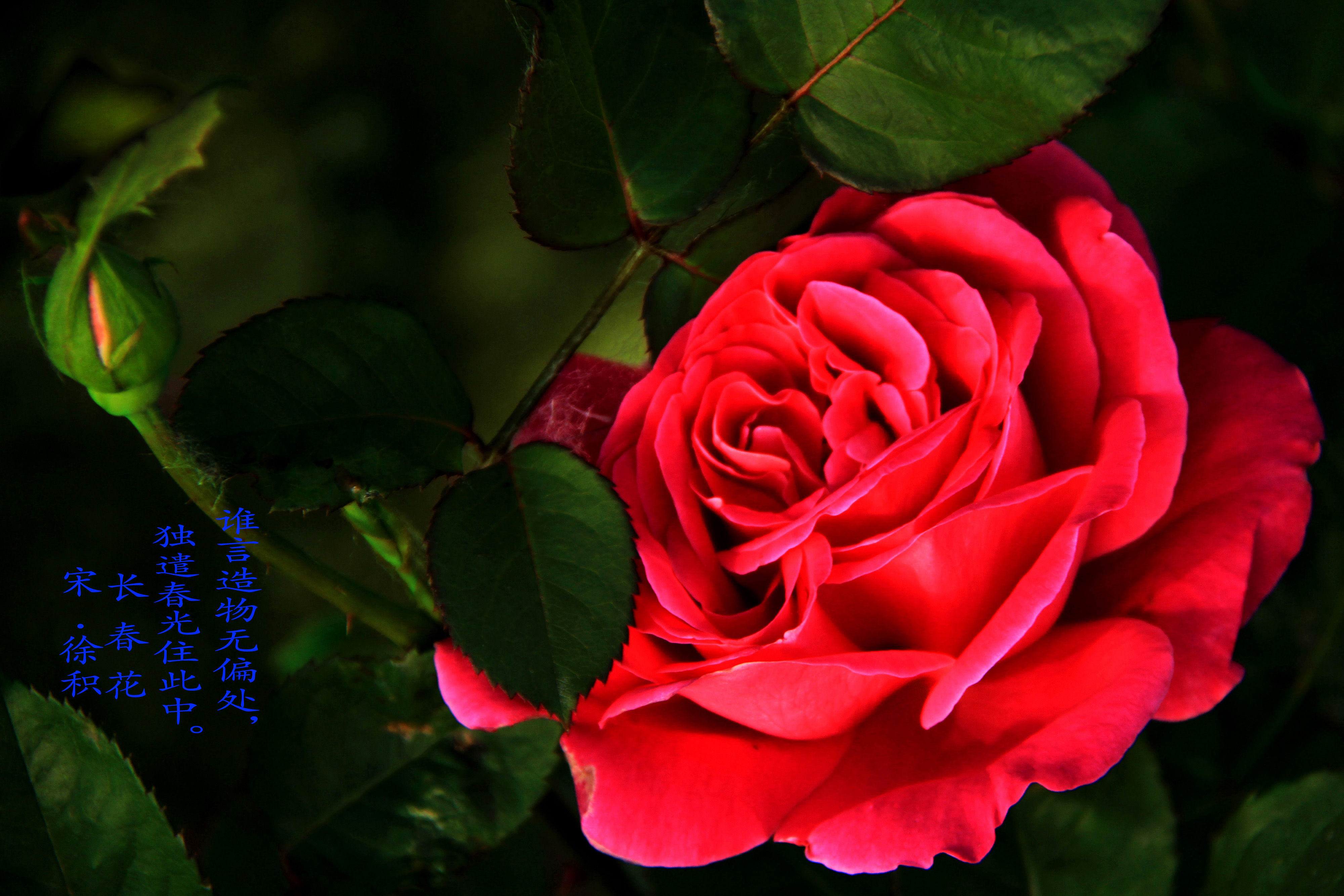 �¼�����(һ )-01-���Ϲ�.jpg