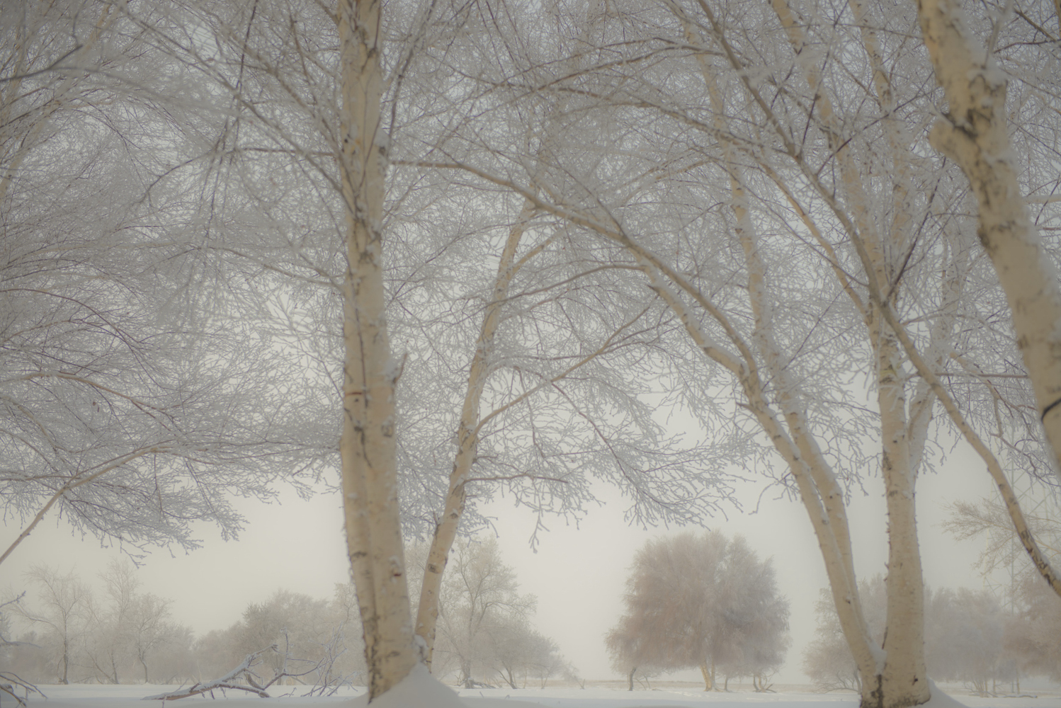 ��֮��Ӱ����ڡ