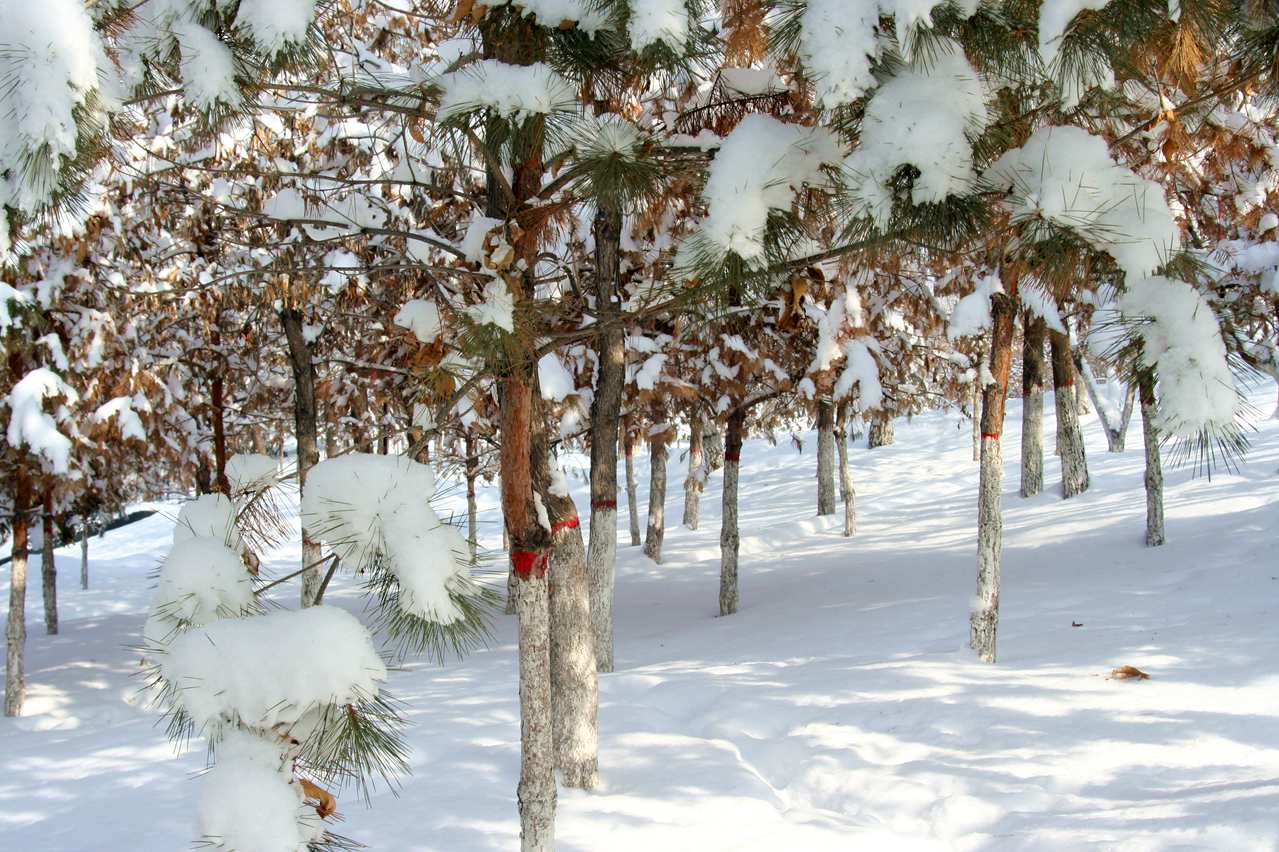 ��Ƭ 050_����1_����.jpg