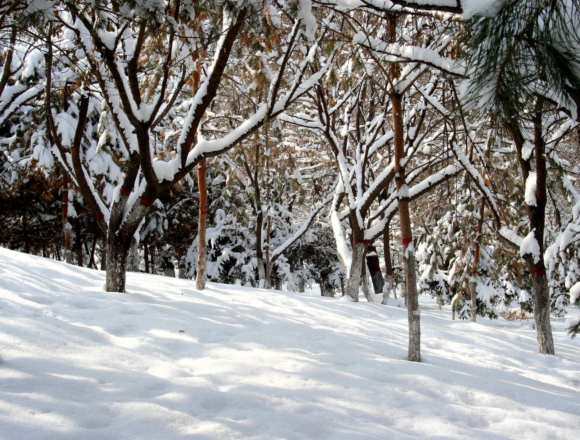 ��Ƭ 075_����.jpg