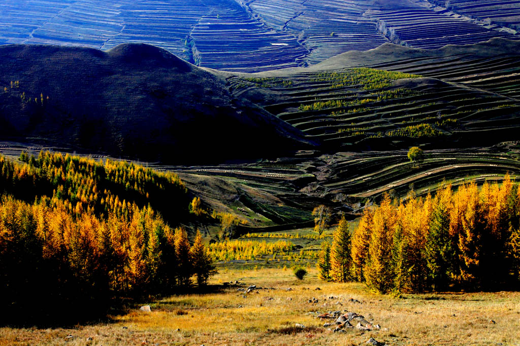 23. ����.JPG