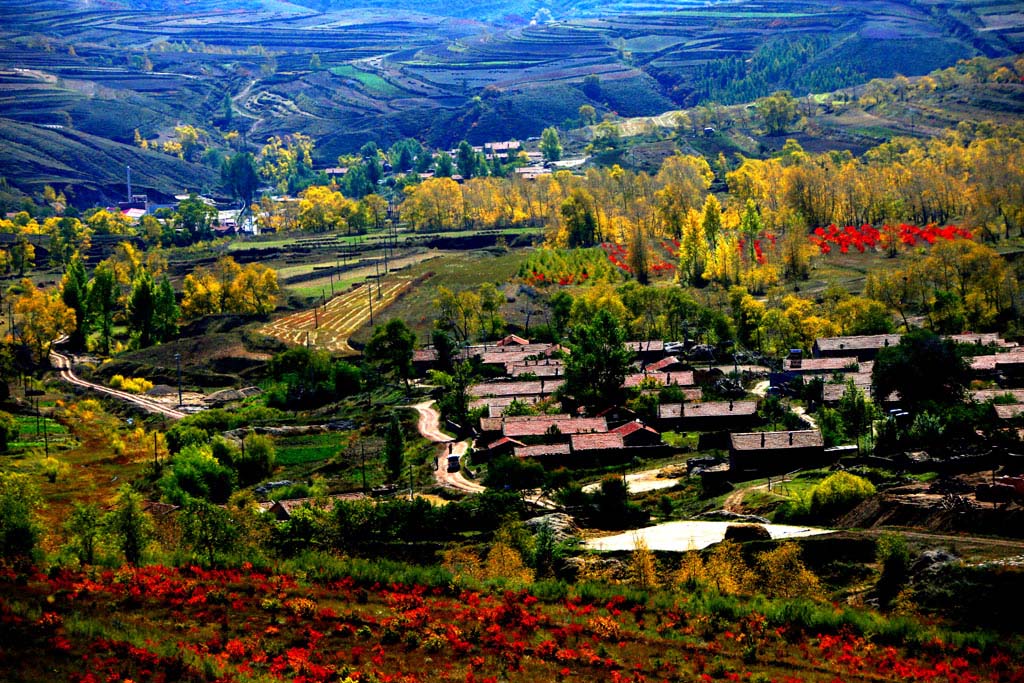 24. �����Ĵ�ׯ.jpg